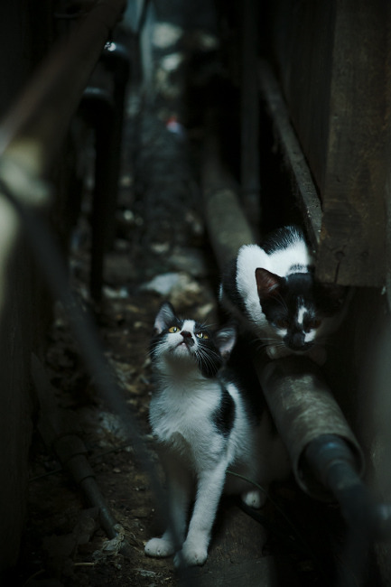 九游APP官网-梅西续约迈阿密国际，继续征战美职联，梅西在迈阿密买的房子多少钱