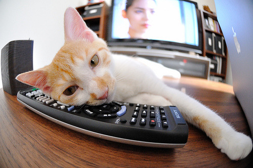 九游网页版官网入口-葡萄牙女足未能晋级巴黎奥运会，葡萄牙女足水平