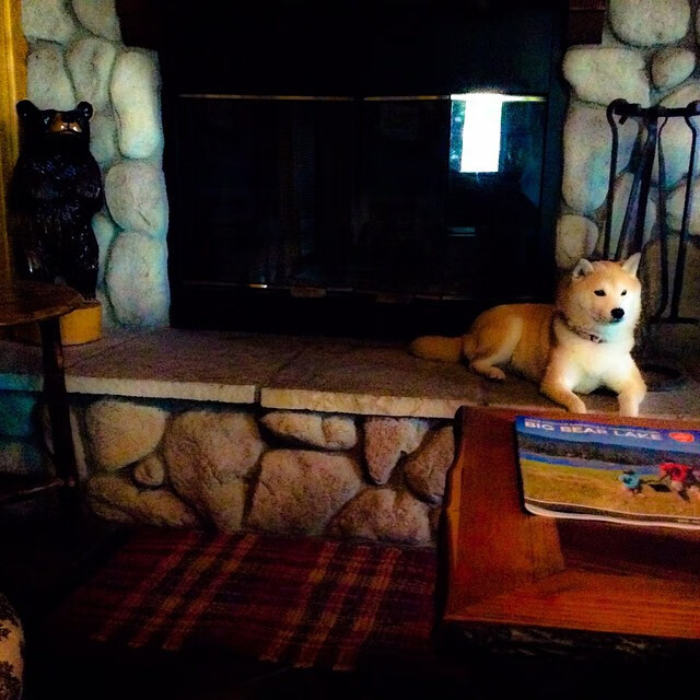 九游APP官网-中国男篮主教练制定详细战术计划，中国男篮主教练辞职