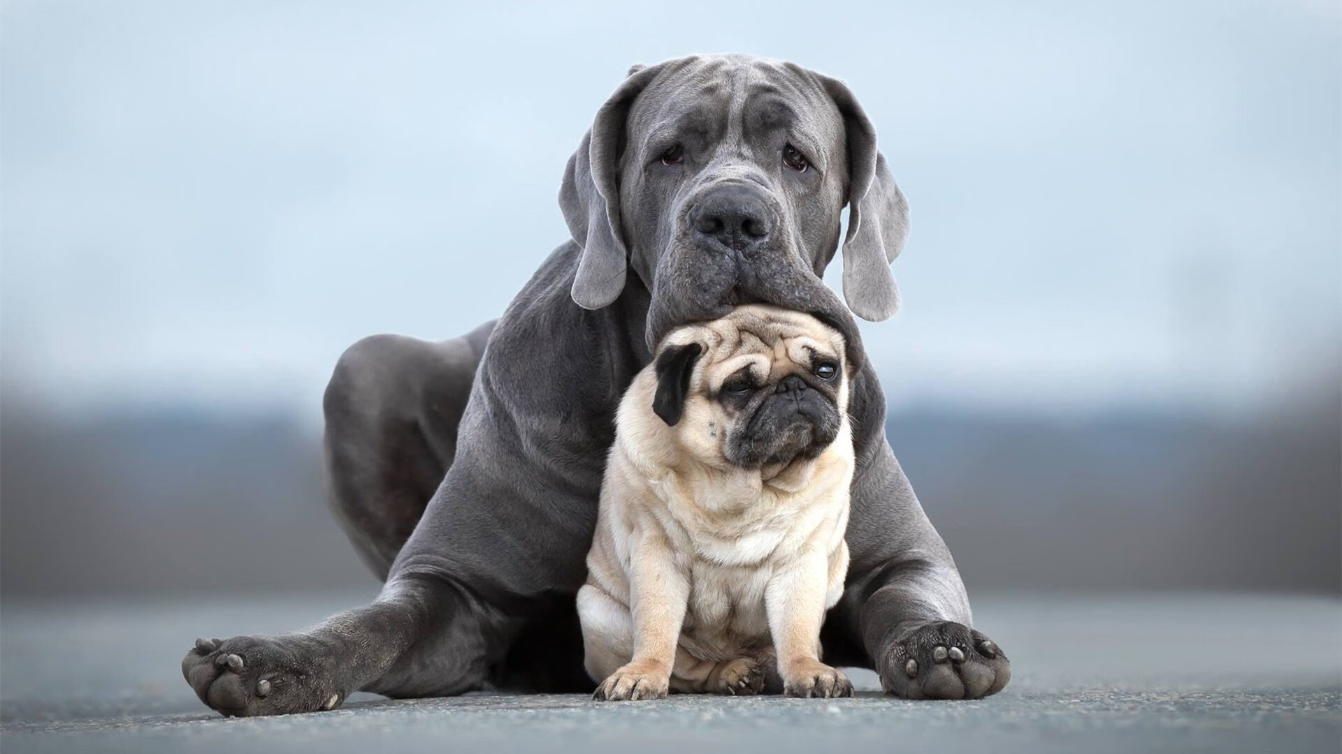 九游娱乐官网 (JIUYOU)-奥预赛中国青年队惨败 球迷呼吁系统调整，奥预赛男足