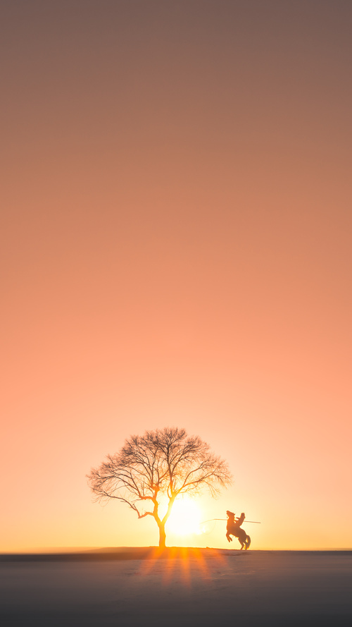 九游sports-青少年运动技能挑战榜上线受热烈欢迎，中国青少年运动技能大赛