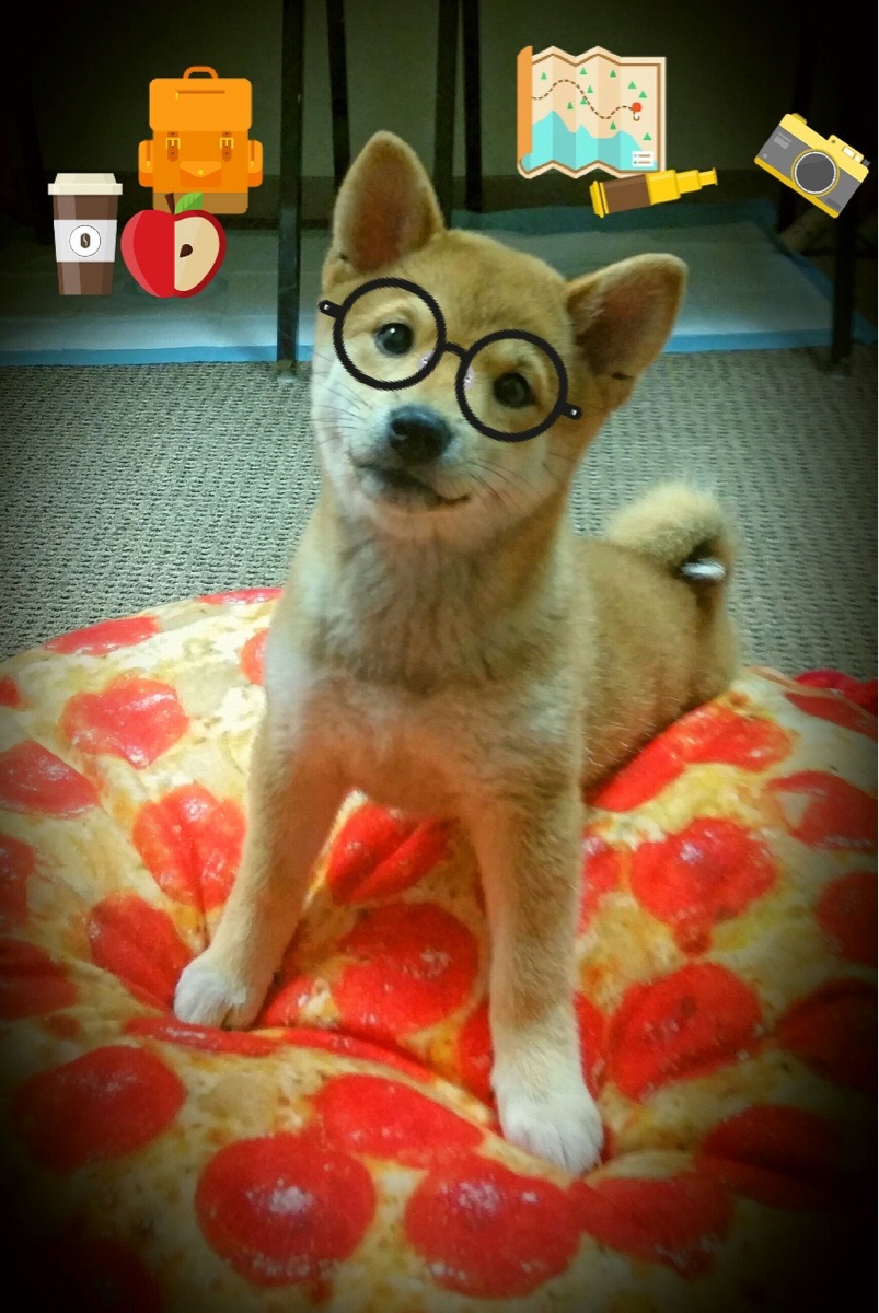 九游(jiuyou)官方网站-“费尔南多·比亚尔巴的完美踢球，阿根廷美洲狮队的决胜武器”