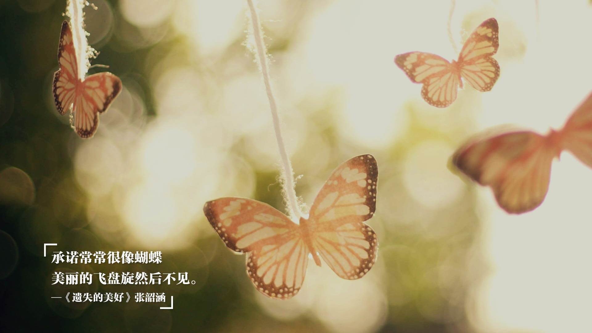 九游登录入口-国家铁人三项协会发布城市赛道通行与交通协调规定，中国铁人三项协会