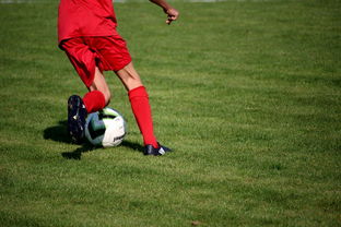 九游网页版官网-国脚待遇结构调整引导更多球员留在国内发展，国家队国脚