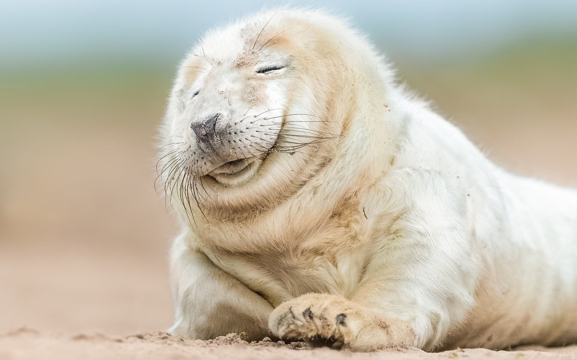 九游下载中心-法甲联赛中的运动科学应用，法甲介绍