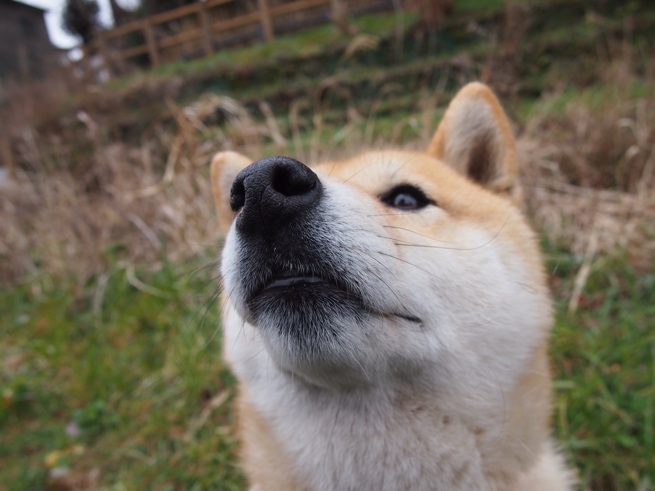 九游娱乐(jiuyou)官方网站-特斯·冯·迪克：在比赛中常常是南非队攻守之间的关键纽带，安迪冯斯特拉克